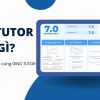 GINO TUTOR là gì? Đạt 7.0+ IELTS Writing cùng GINO TUTOR