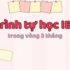 Lộ trình tự học IELTS hiệu quả trong vòng 3 tháng 