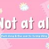 Not at all: Cách dùng & Các cụm từ tương đồng