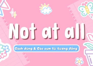 Not at all: Cách dùng & Các cụm từ tương đồng