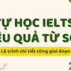 Tự học IELTS hiệu quả từ con số 0: Lộ trình chi tiết từng giai đoạn