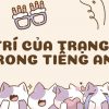 Vị trí của trạng từ trong tiếng Anh | Cách dùng và bài tập chi tiết