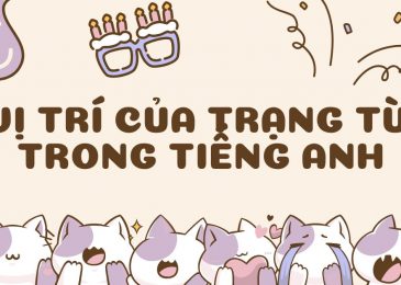 Vị trí của trạng từ trong tiếng Anh | Cách dùng và bài tập chi tiết