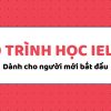 Lộ trình học IELTS từ con số 0 cho người mới bắt đầu