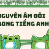 Nguyên âm đôi trong tiếng Anh: Cách nói chuẩn như người bản xứ